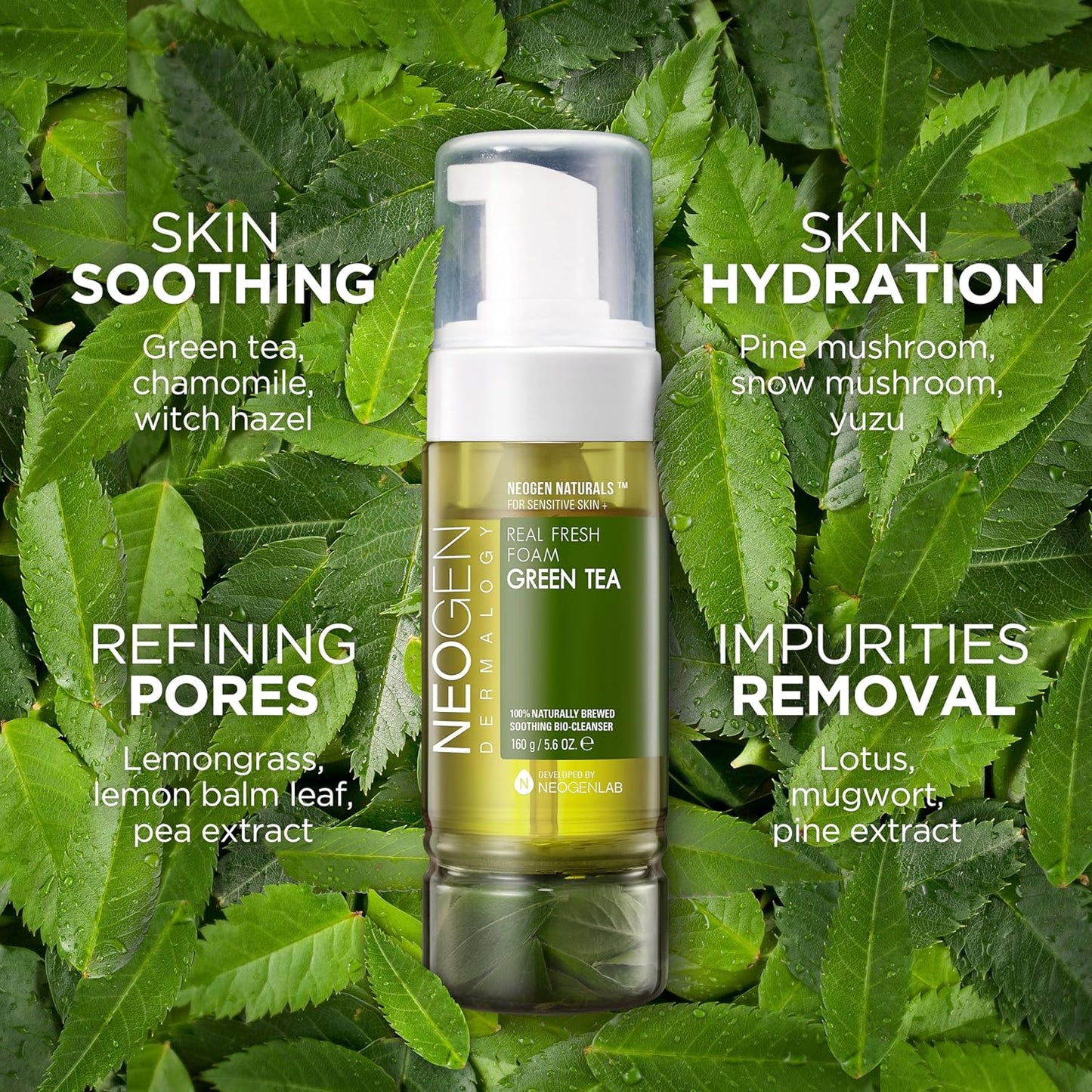 NEOGEN Dermalogy Real Fresh Foam Green Tea